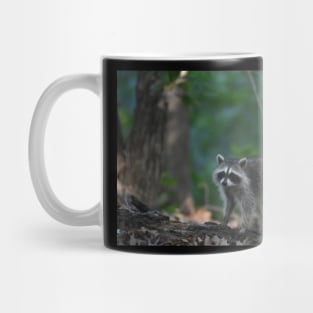 Raccoon on a Log Mug